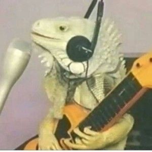 Meet your Posher, Libby